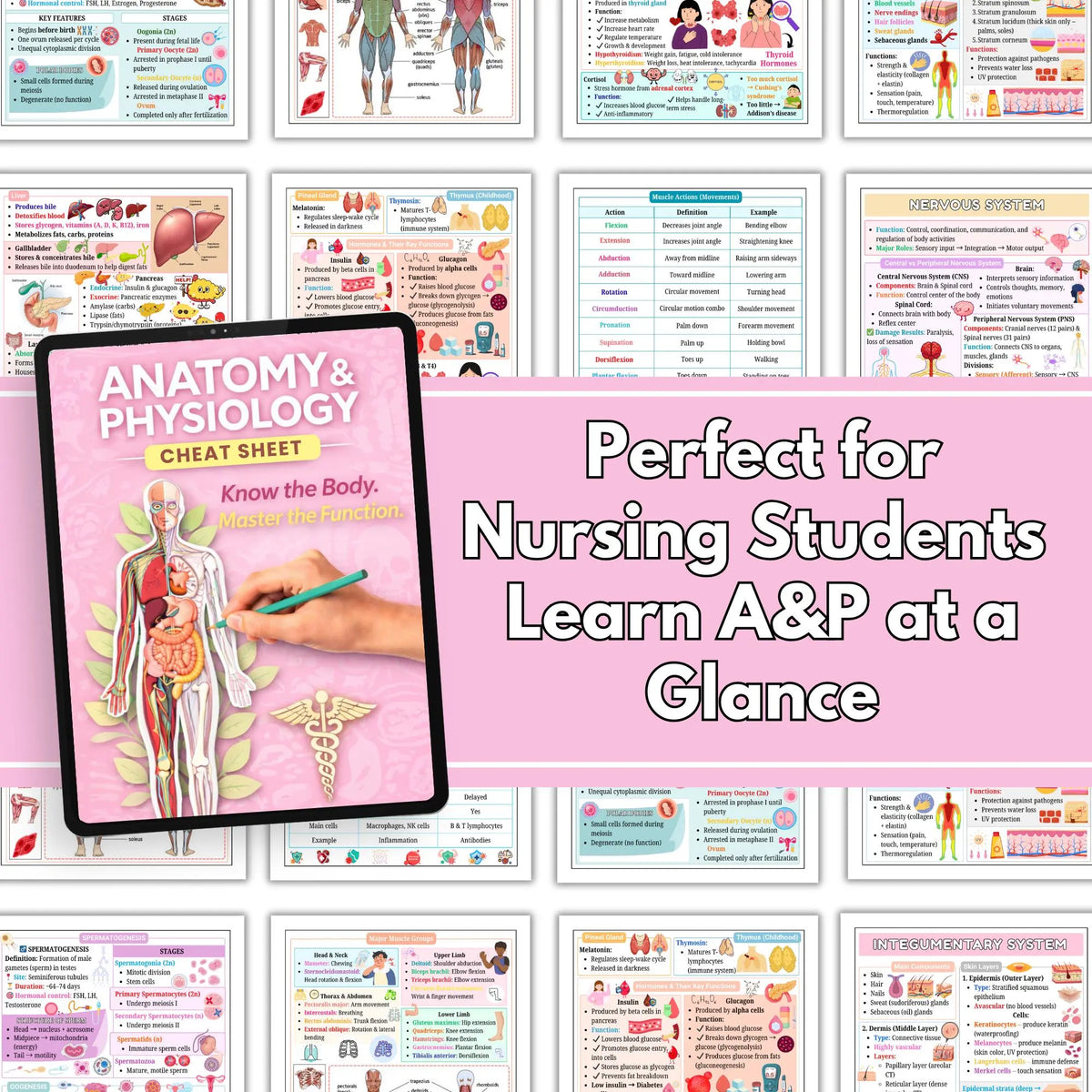 Human Anatomy and Physiology Study Notes, Nursing and Educational Resource for Medical Students