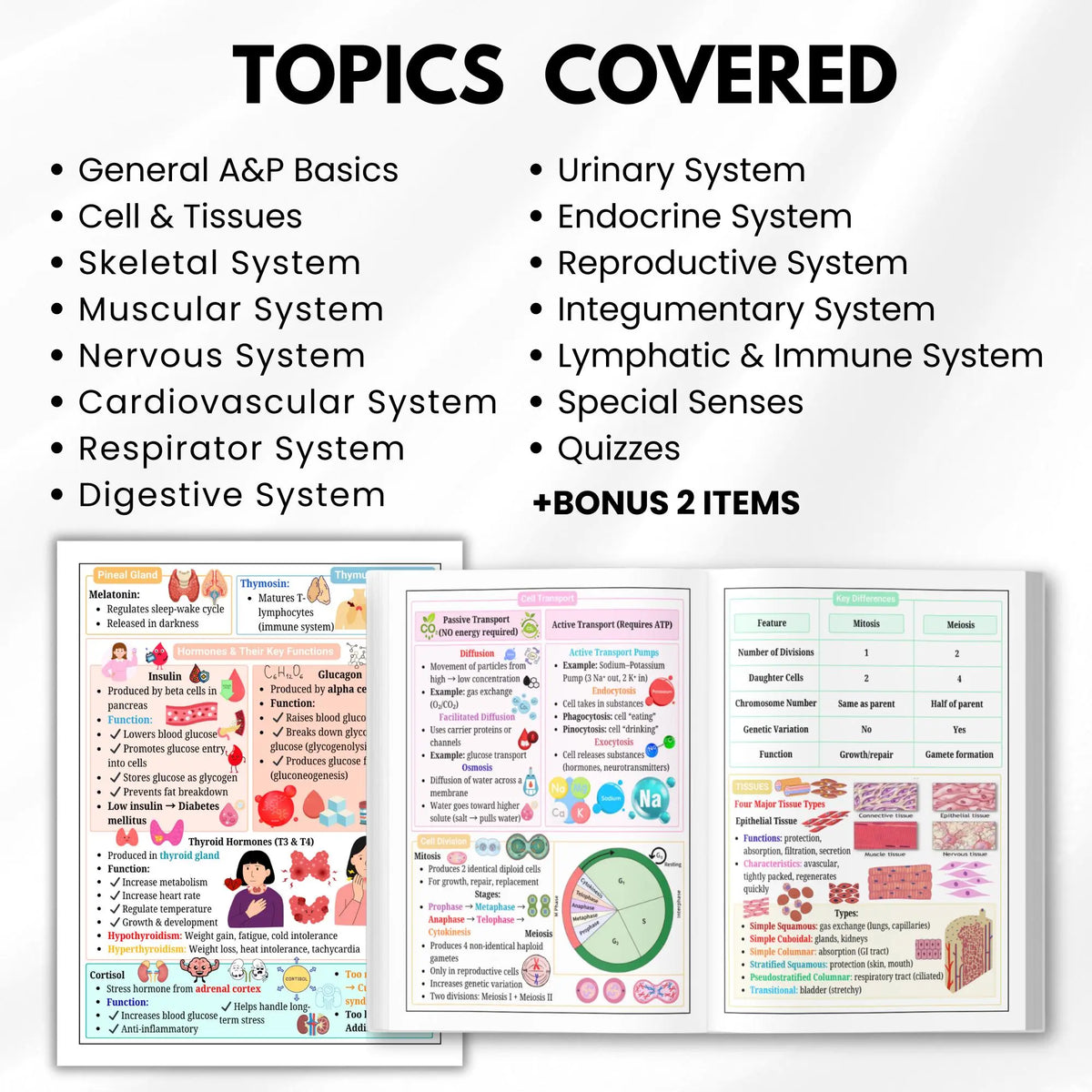 Human Anatomy and Physiology Study Notes, Nursing and Educational Resource for Medical Students